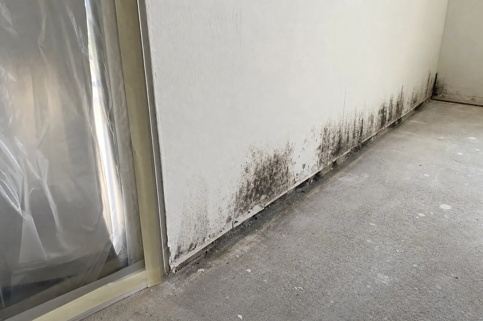 Mold growth along a wall base with plastic containment taped up
